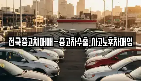 부산 중구 중앙동1가 중고차 전문 전국중고차매매-중고차수출,사고노후차매입