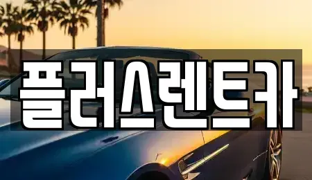 부산광역시 강서구 강동동 렌트카 전문 플러스렌트카