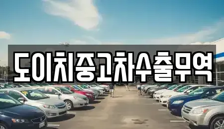 부산광역시 강서구 강동동 중고차 전문 도이치중고차수출무역