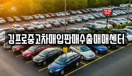 부산광역시 강서구 강동동 중고차매입 전문 김프로중고차매입판매수출매매센터