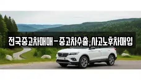 부산광역시 강서구 강동동 중고차매입 전문 전국중고차매매-중고차수출,사고노후차매입