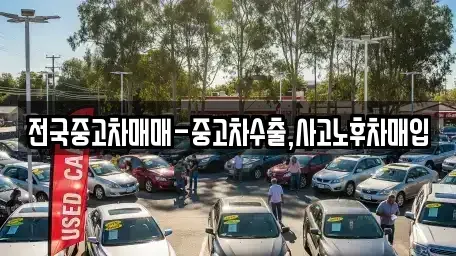 부산광역시 강서구 눌차동 중고차 전문 전국중고차매매-중고차수출,사고노후차매입