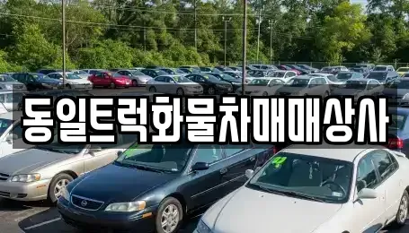 부산광역시 강서구 성북동 중고차 전문 동일트럭화물차매매상사