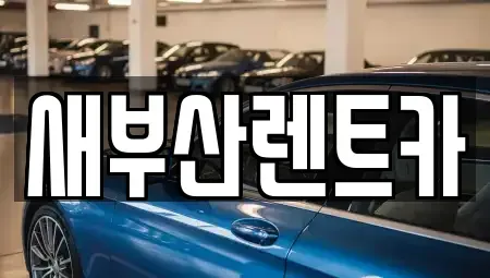 부산광역시 중구 남포동5가 렌트카 전문 새부산렌트카