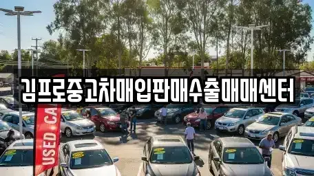 부산광역시 중구 남포동5가 중고차매입 전문 김프로중고차매입판매수출매매센터
