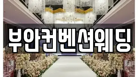 부안컨벤션웨딩