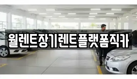 서울 마포구 중동 장기렌트카 전문 월렌트장기렌트플랫폼직카