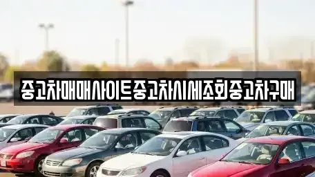 서울 마포구 중동 중고차 전문 중고차매매사이트중고차시세조회중고차구매