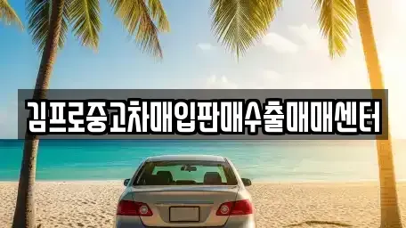 서울 성동구 마장동 중고차 전문 김프로중고차매입판매수출매매센터