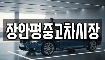 서울 성동구 마장동 중고차 전문 장안평중고차시장