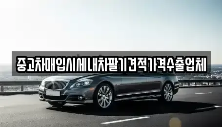 서울 성동구 마장동 중고차매입 전문 중고차매입시세내차팔기견적가격수출업체