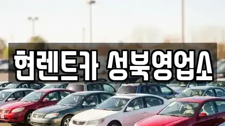 서울 성북구 삼선동1가 렌트카 전문 현렌트카 성북영업소