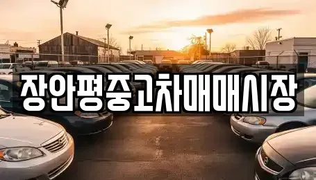 서울 성북구 삼선동1가 중고차 전문 장안평중고차매매시장