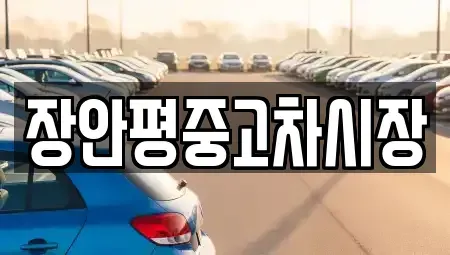 서울 성북구 삼선동1가 중고차매매 전문 장안평중고차시장