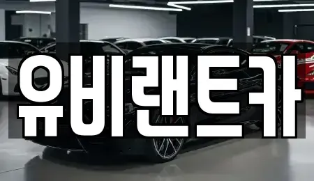 서울 송파구 오금동 단기렌트카 전문 유비랜트카