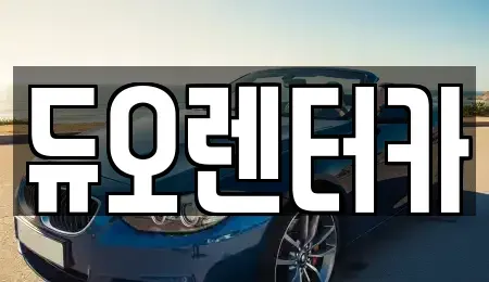서울 송파구 오금동 렌트카 전문 듀오렌터카