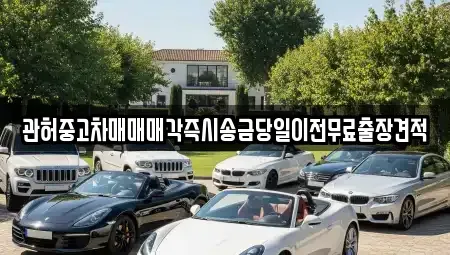 서울 송파구 오금동 중고차 전문 관허중고차매매매각즉시송금당일이전무료출장견적