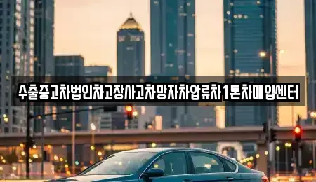서울 송파구 오금동 중고차 전문 수출중고차법인차고장사고차망자차압류차1톤차매입센터