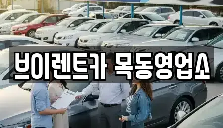 서울 양천구 목동 장기렌트카 전문 브이렌트카 목동영업소