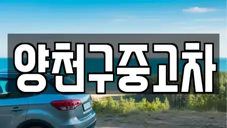 서울 양천구 목동 중고차 전문 양천구중고차