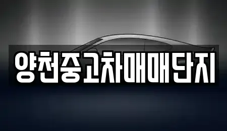 서울 양천구 목동 중고차 전문 양천중고차매매단지