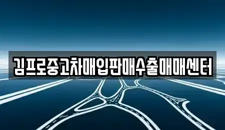 서울 양천구 목동 중고차매입 전문 김프로중고차매입판매수출매매센터