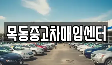 서울 양천구 목동 중고차매입 전문 목동중고차매입센터