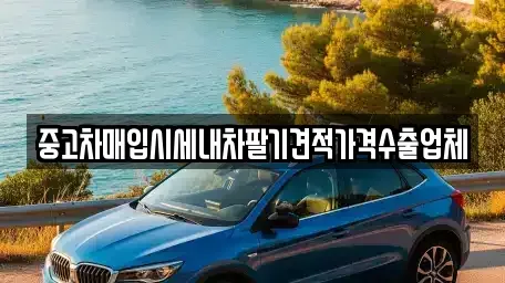 서울 양천구 목동 중고차매입 전문 중고차매입시세내차팔기견적가격수출업체