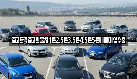 서울 양천구 목동 중고차매입 전문 중고트럭중고화물차1톤2.5톤3.5톤4.5톤5톤매매매입수출