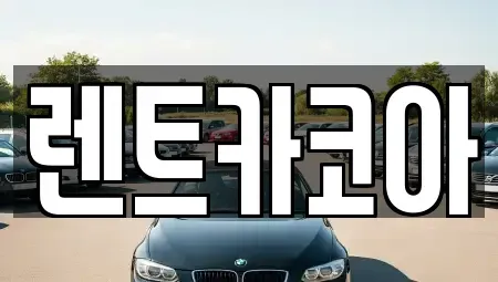 서울 종로구 화동 렌트카 전문 렌트카코아