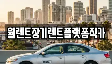 서울 종로구 화동 렌트카 전문 월렌트장기렌트플랫폼직카