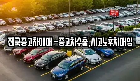 서울 종로구 화동 중고차 전문 전국중고차매매-중고차수출,사고노후차매입