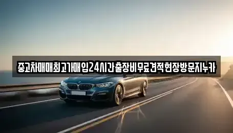 서울 종로구 화동 중고차 전문 중고차매매최고가매입24시간출장비무료견적현장방문지누카