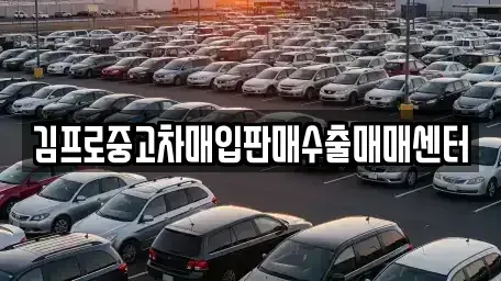서울 종로구 화동 중고차매입 전문 김프로중고차매입판매수출매매센터