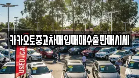 서울 종로구 화동 중고차매입 전문 카카오토중고차매입매매수출판매시세