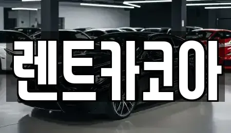 서울 중구 남대문로4가 렌트카 전문 렌트카코아