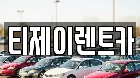 서울 중구 남대문로4가 렌트카 전문 티제이렌트카