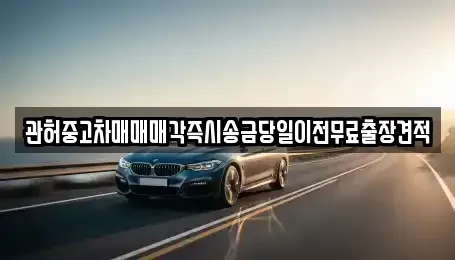 서울 중구 남대문로4가 중고차매매,단기렌트카,중고차매입,장기렌트카,중고차,렌트카