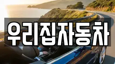 서울 중구 남대문로4가 중고차매매 전문 우리집자동차