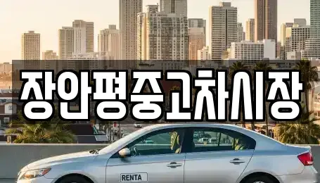 서울 중구 남대문로4가 중고차매매 전문 장안평중고차시장