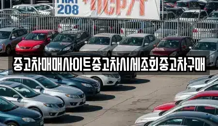 서울 중구 남대문로4가 중고차매매 전문 중고차매매사이트중고차시세조회중고차구매