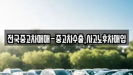 서울 중구 남대문로4가 중고차매입 전문 전국중고차매매-중고차수출,사고노후차매입