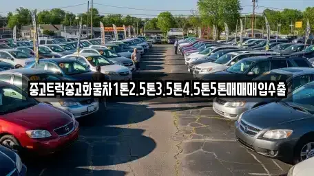 서울 중구 남대문로4가 중고차매입 전문 중고트럭중고화물차1톤2.5톤3.5톤4.5톤5톤매매매입수출