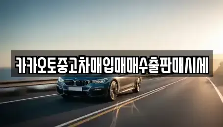 서울 중구 남대문로4가 중고차매입 전문 카카오토중고차매입매매수출판매시세