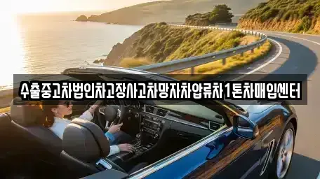 서울 중구 중림동 중고차매입 전문 수출중고차법인차고장사고차망자차압류차1톤차매입센터