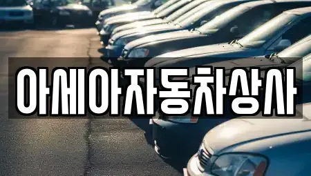 서울특별시 성동구 도선동 중고차 전문 아세아자동차상사