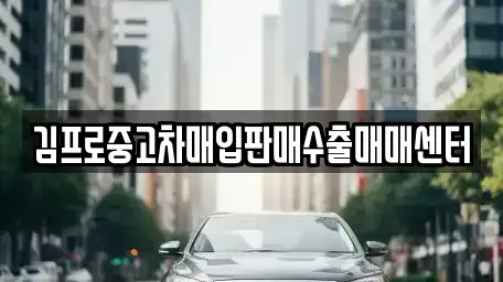 서울특별시 양천구 목동 중고차매입 전문 김프로중고차매입판매수출매매센터