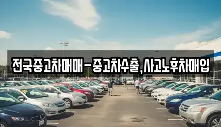서울특별시 양천구 목동 중고차매입 전문 전국중고차매매-중고차수출,사고노후차매입