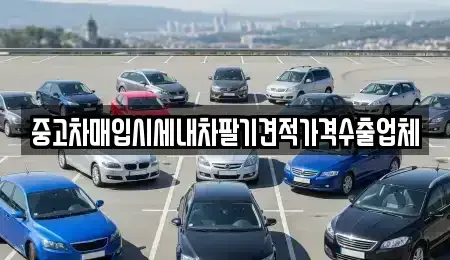 서울특별시 양천구 목동 중고차매입 전문 중고차매입시세내차팔기견적가격수출업체