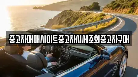 서울특별시 용산구 동자동 중고차 전문 중고차매매사이트중고차시세조회중고차구매